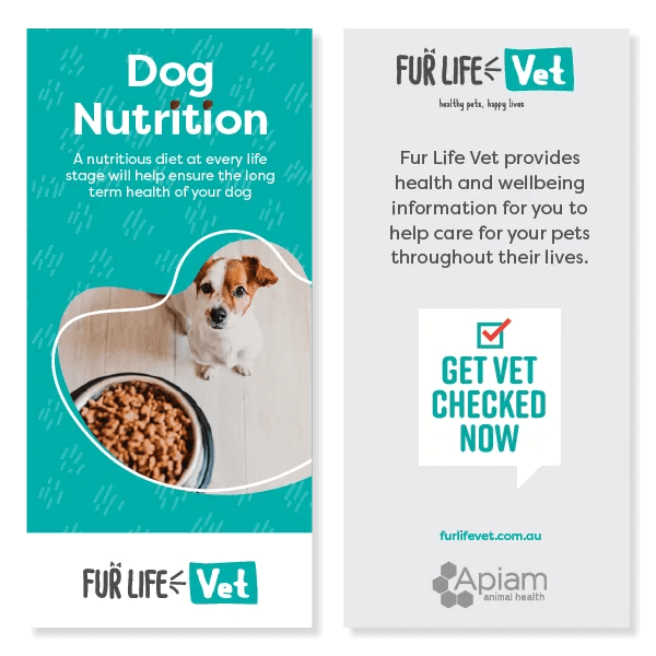 Dog Nutrition