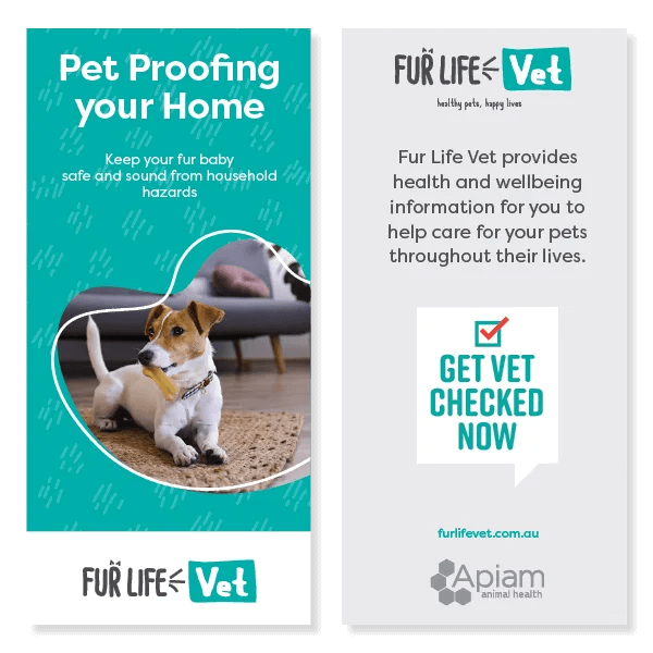 Pet Proofing Your Home