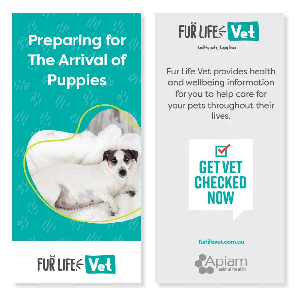 Preparing For The Arrival Of Puppies