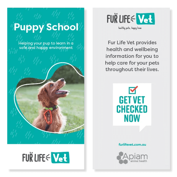 Puppy School