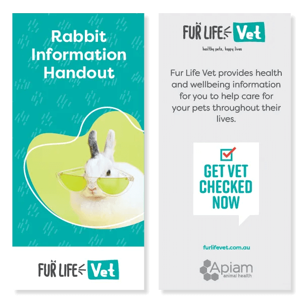 Rabbit Information Handout