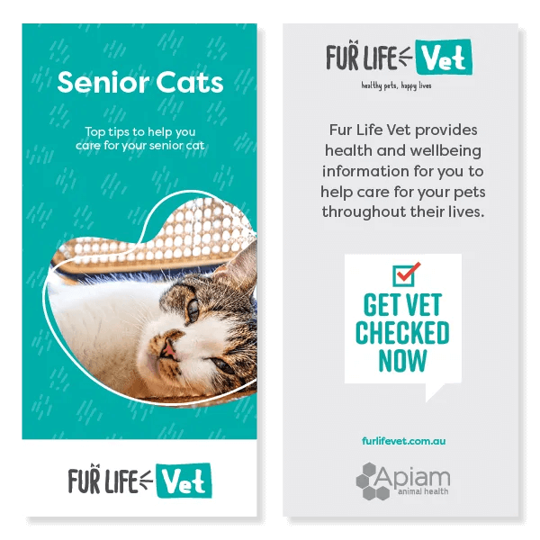 Senior Cats