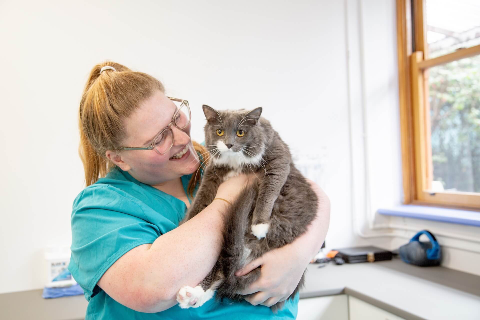 Highton Pet Services