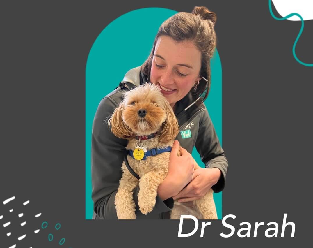 Dr. Sarah Bush