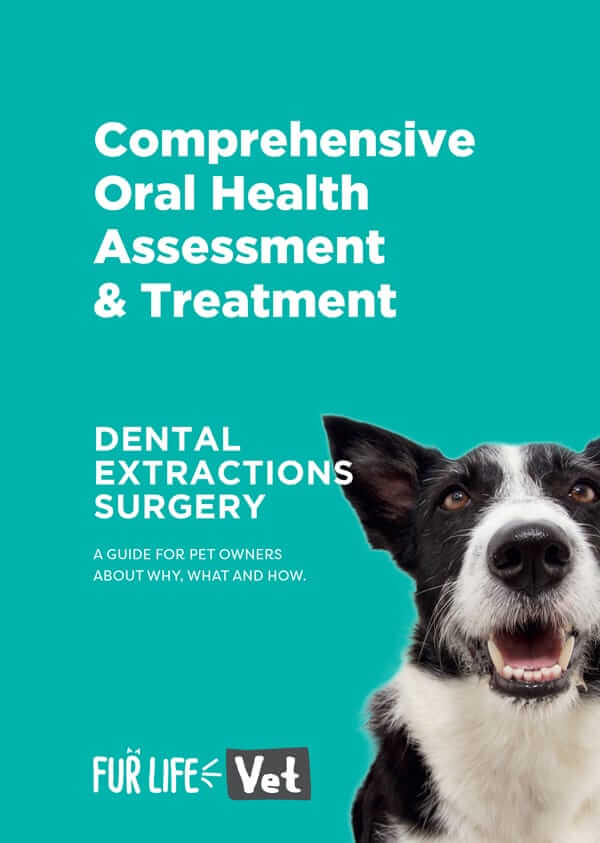Dental Booklet