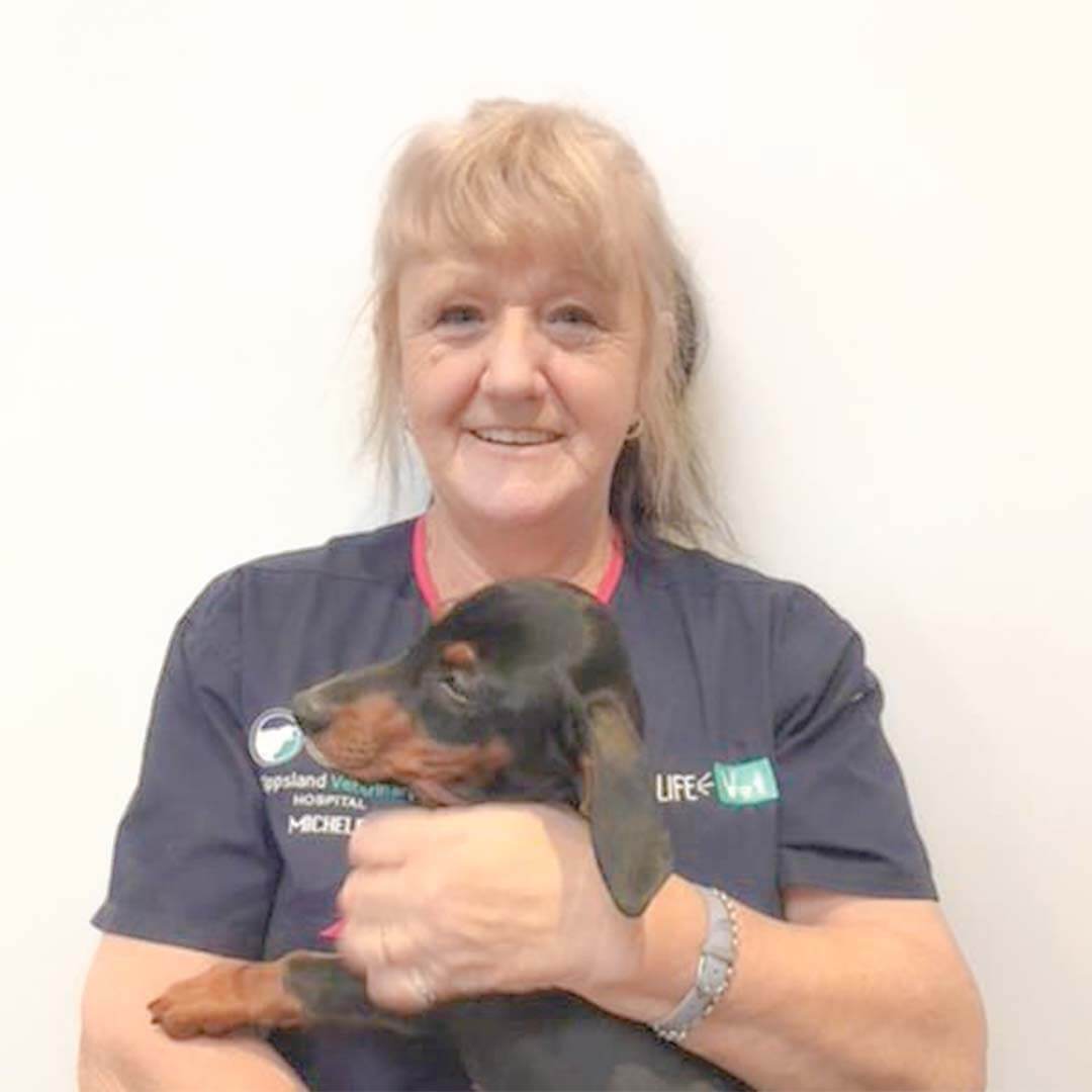 Nurse Photo Happy International Vet Nurses Day Nurse Photo Happy International Vet Nurses Day
