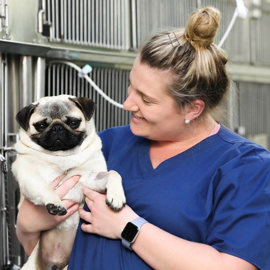 Nurse Photo Happy International Vet Nurses Day Nurse Photo Happy International Vet Nurses Day