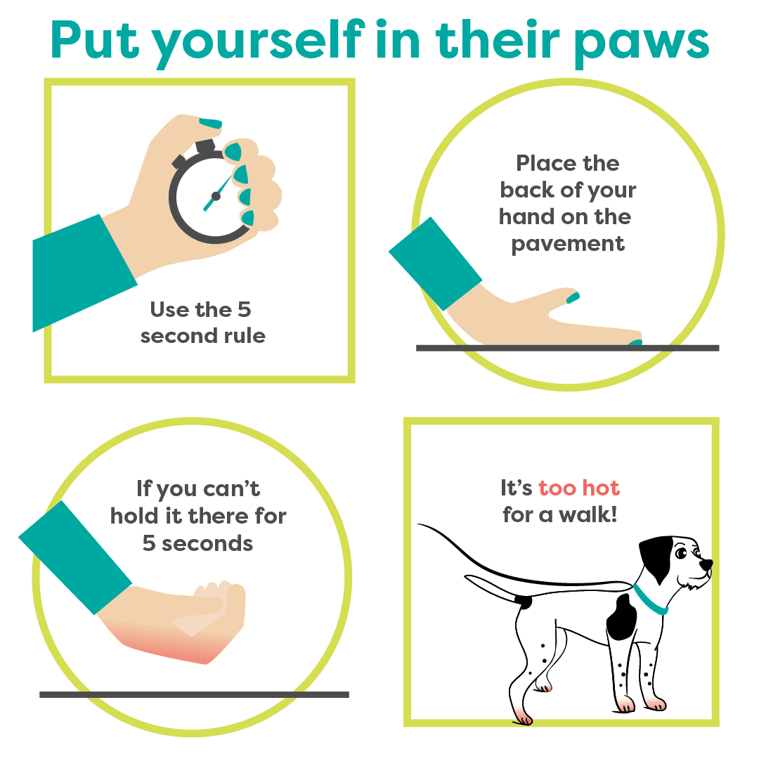 5 second rule Summer Safety Tips
