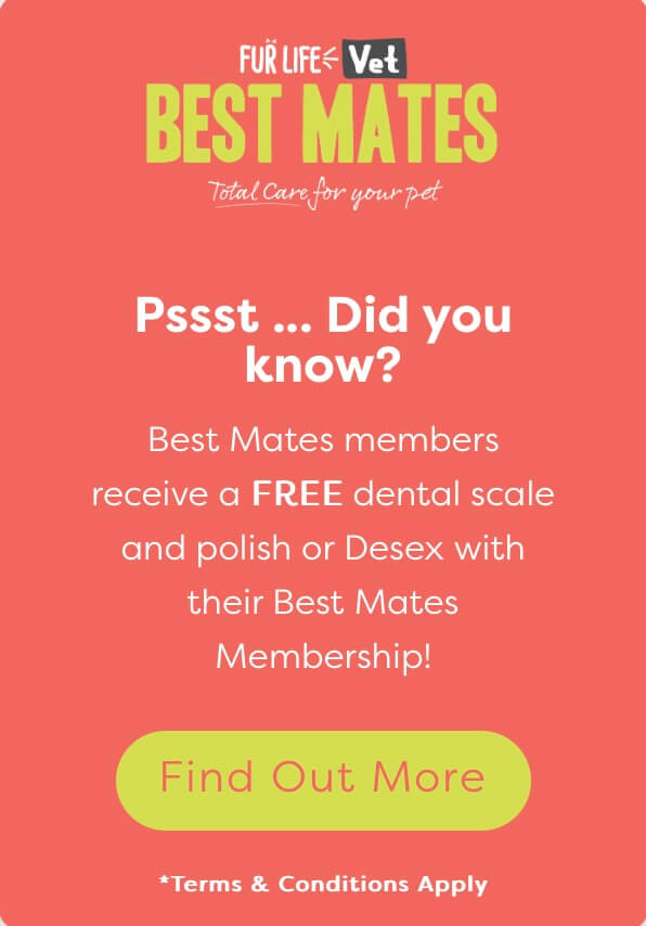 Best Mates Library