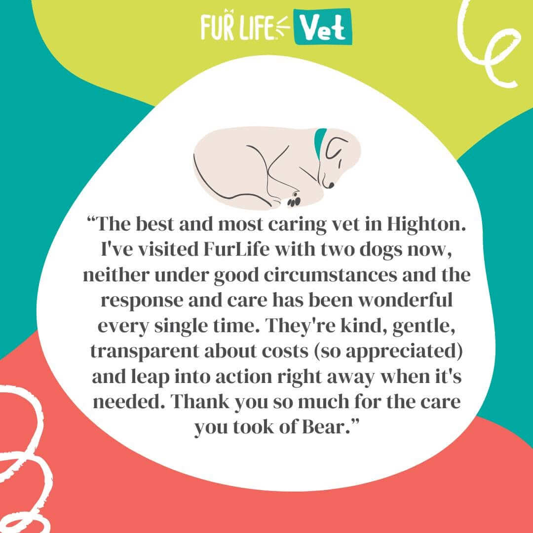 Client Testimonials Highton