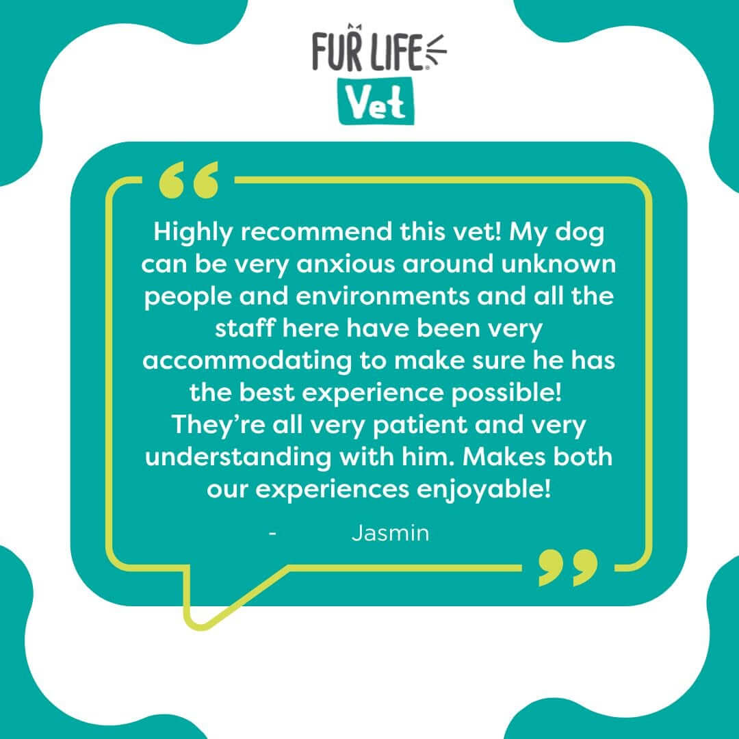 Client Testimonials Highton