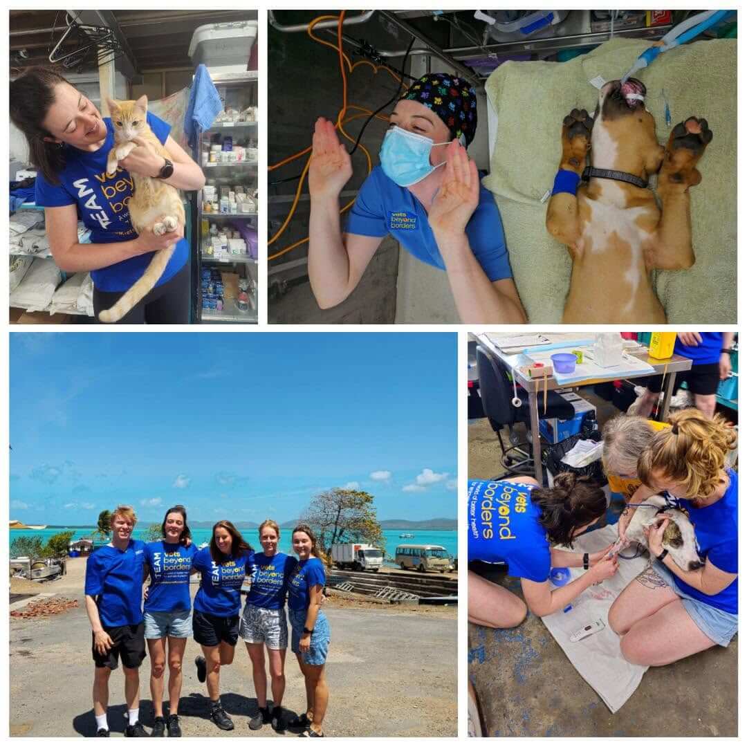 Highton Dr Sarah Vets Beyond Borders