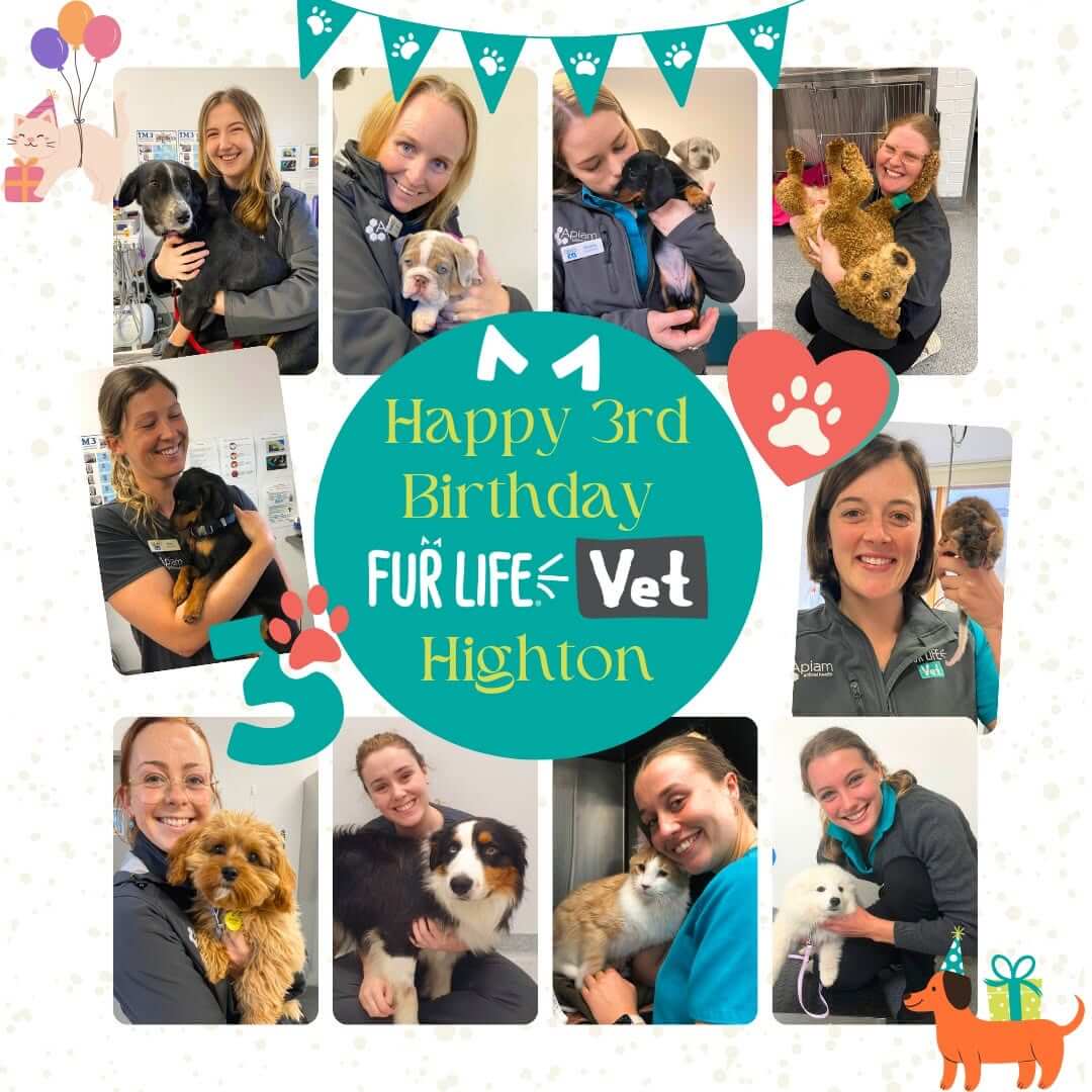 Highton Third Birthday