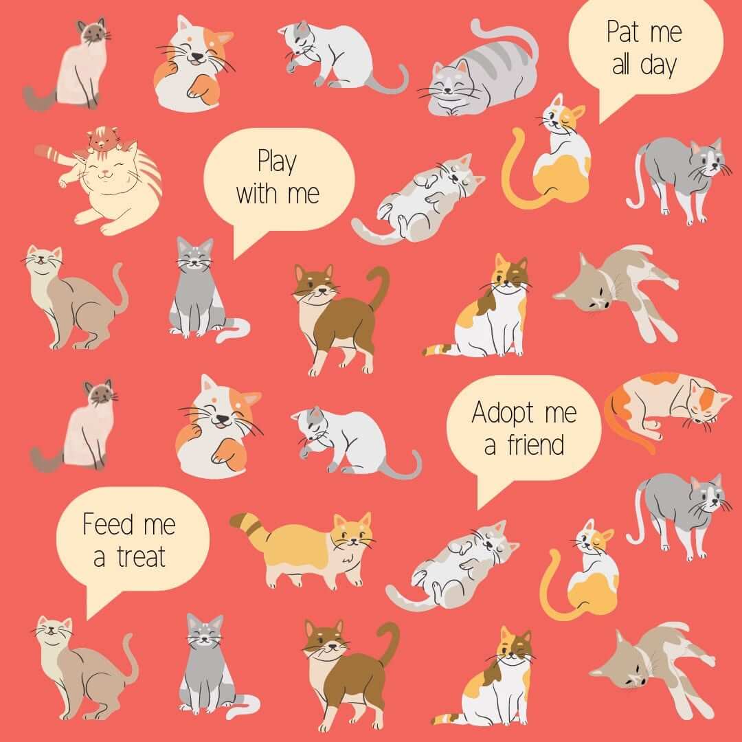 International Cat Day