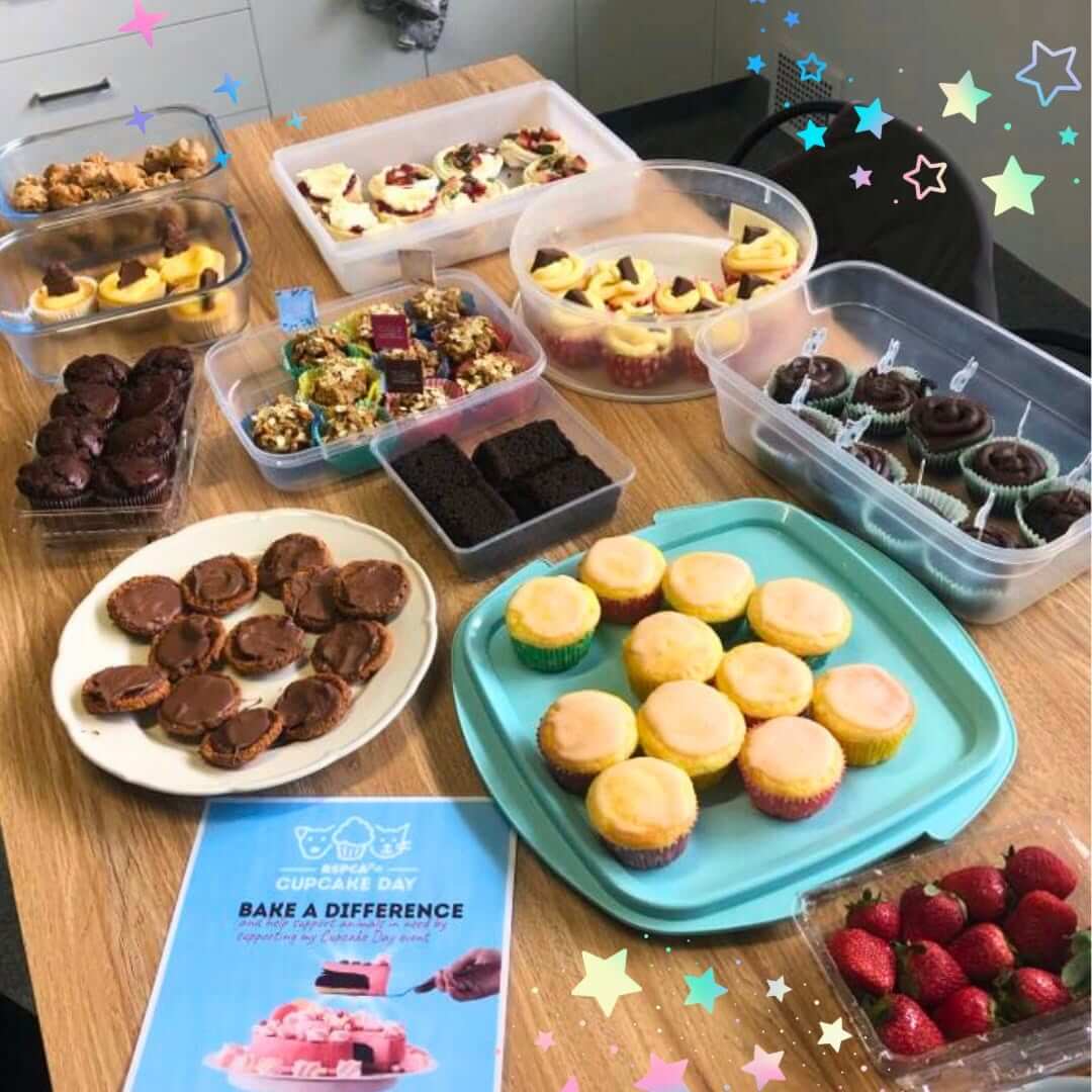 RSPCA Cupcake Day