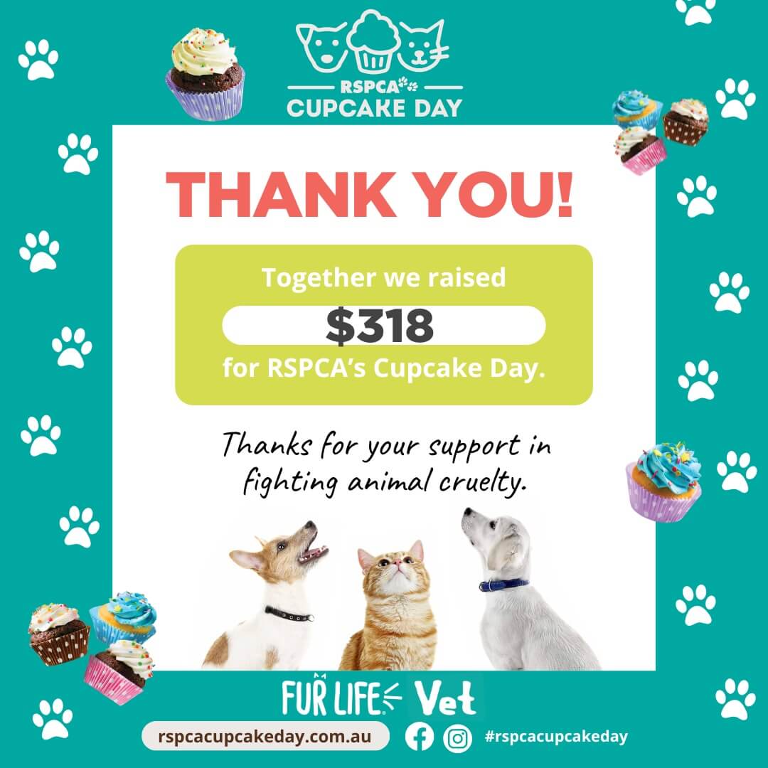 RSPCA Cupcake Day Community