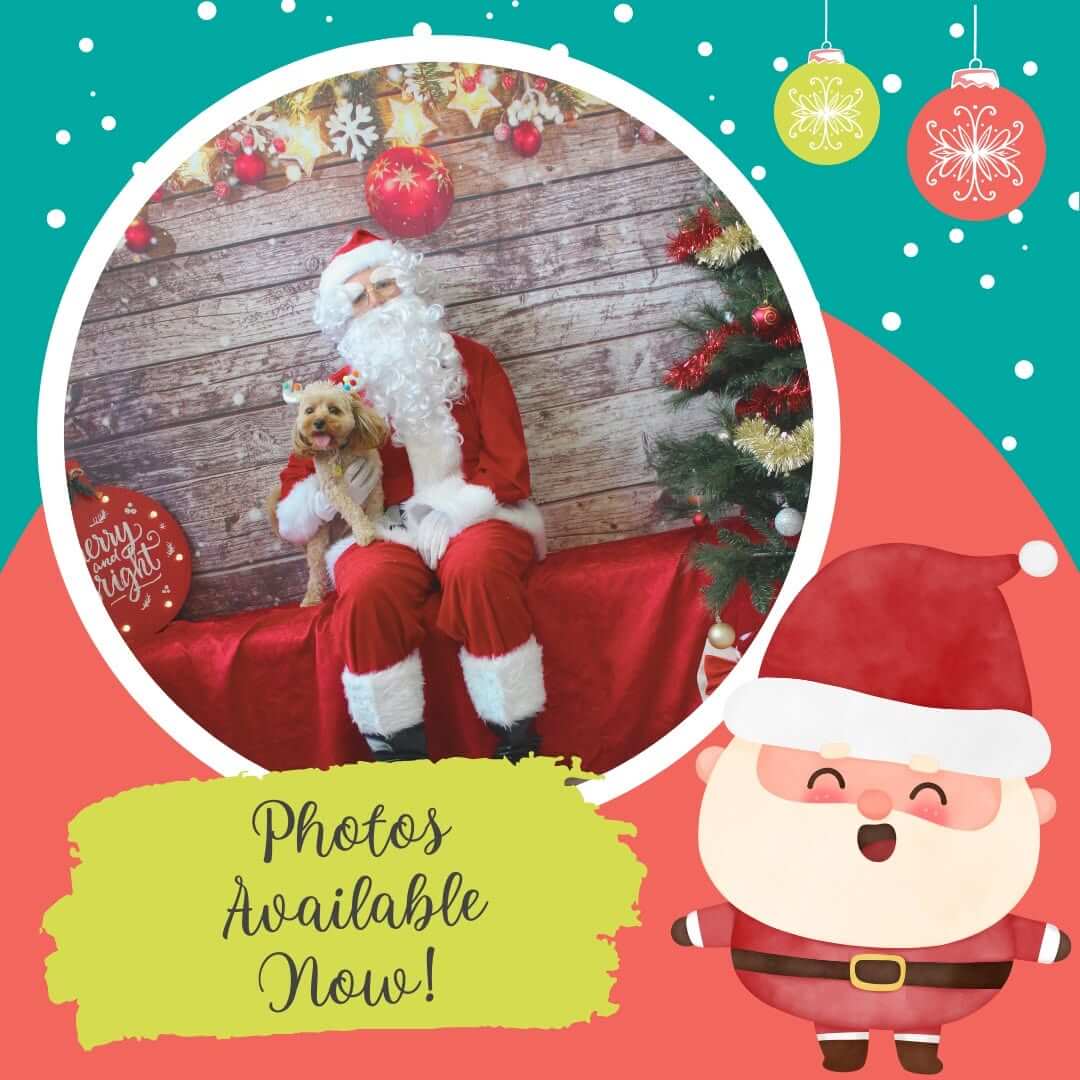 Santa Community Photos