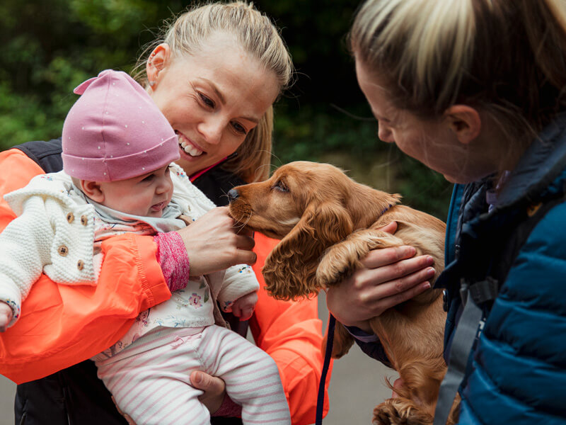 Socialising Puppy