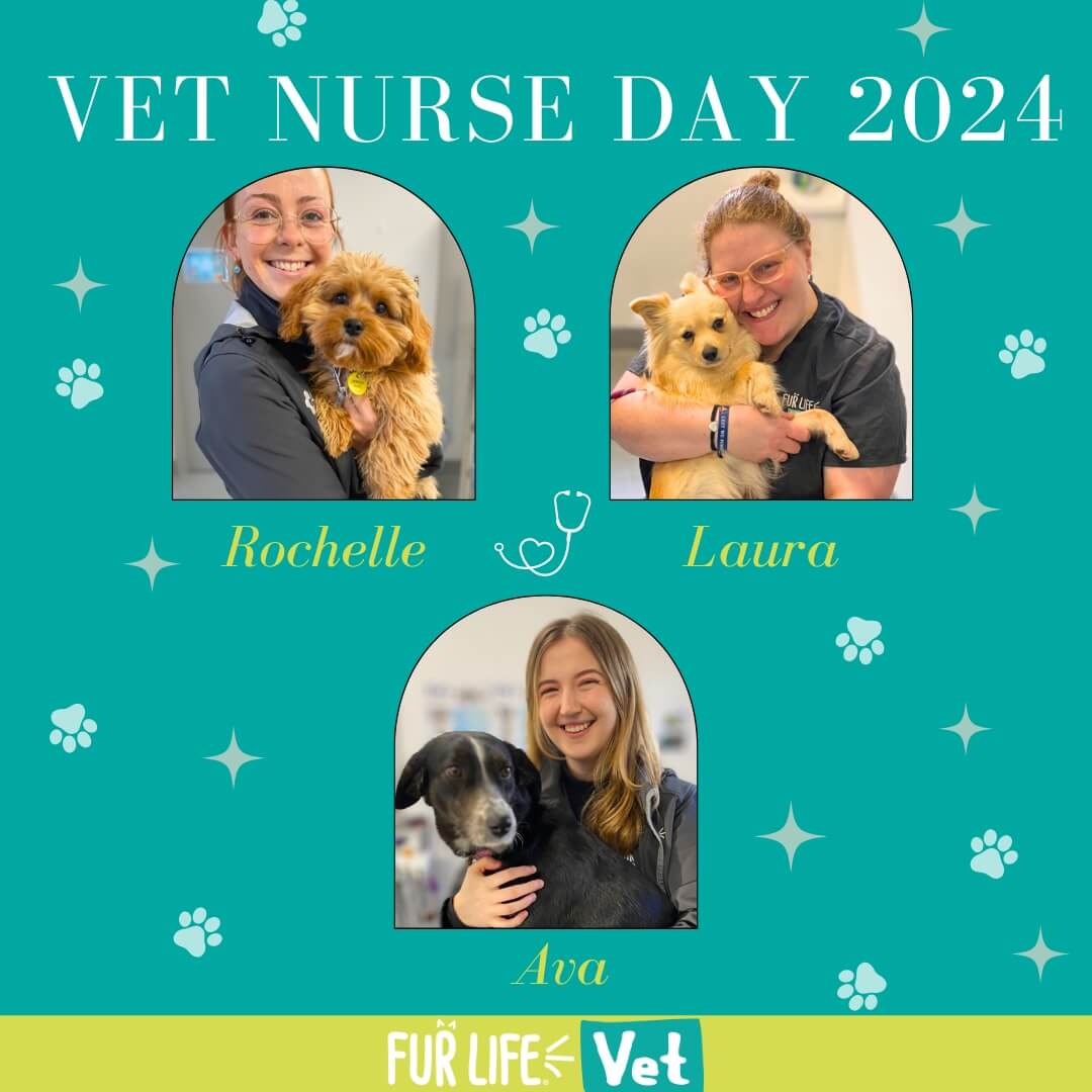 Vet Nurse Day 2024 Highton