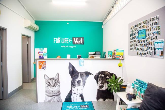 Veterinarian Near me in Highton
